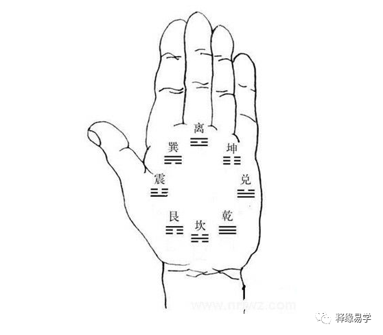 相术五种掌形与适合的职业看看你的职业合适吗