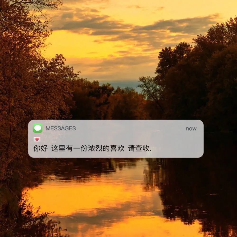 看完瞬间不再emo的温柔治愈系文案