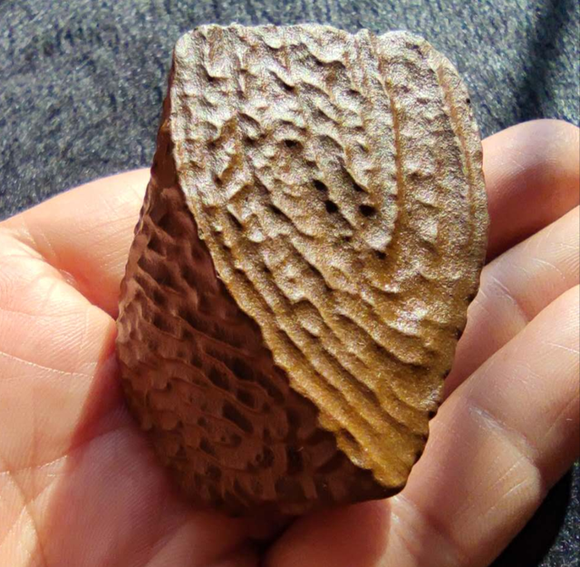 新疆泥石颜色以咖啡色,棕红色,绿色,黄色,黑色为主