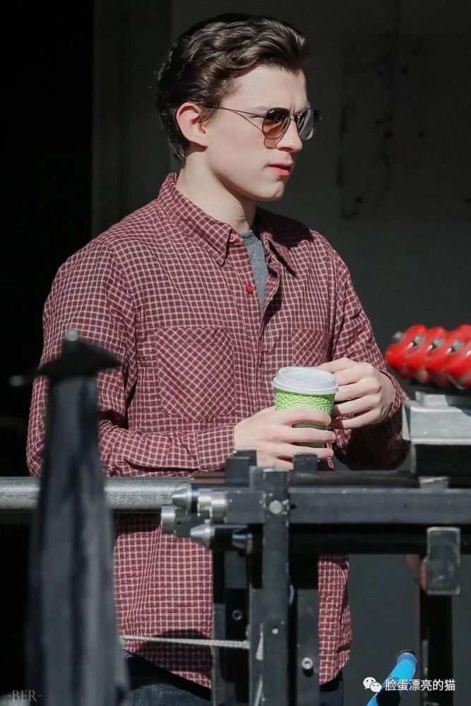 明星美照vol874汤姆赫兰德