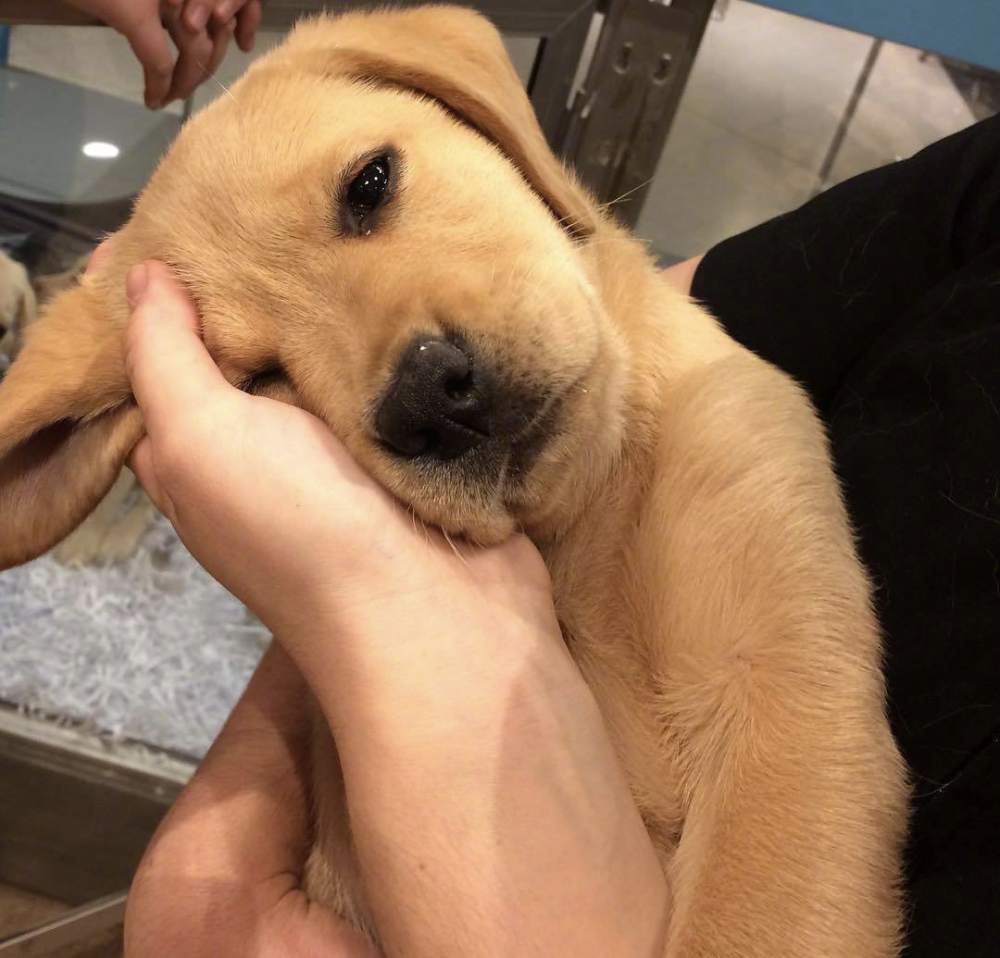 ω        vx关注:怪搞笑的