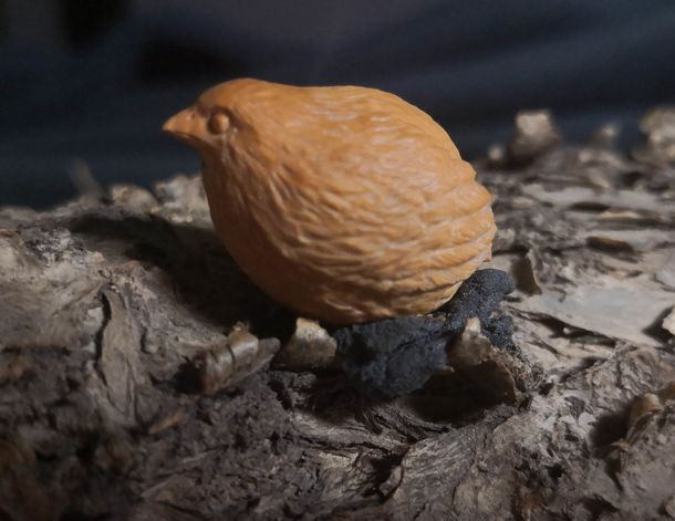 艺存刀峰几度奇——贾永学核雕艺术欣赏