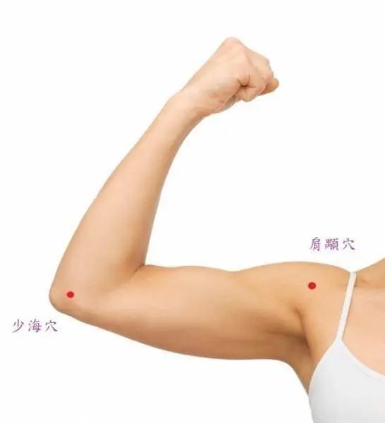 心,肝,脾,肺,肾,五脏藏毒各有哪些表现?如何排除五脏毒