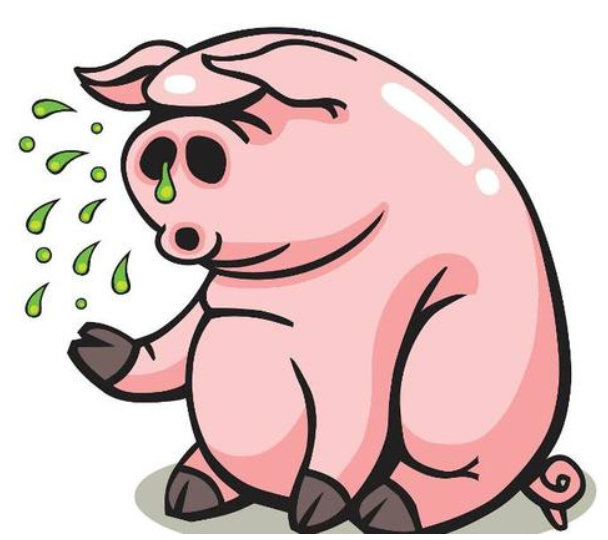 猪打喷嚏怎么治疗猪打喷嚏用什么药