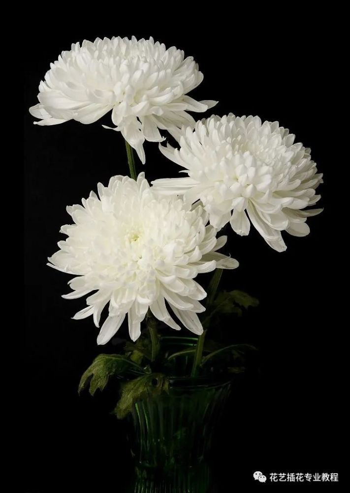 一般可选白菊花,百合花,马蹄莲等用于扫墓.