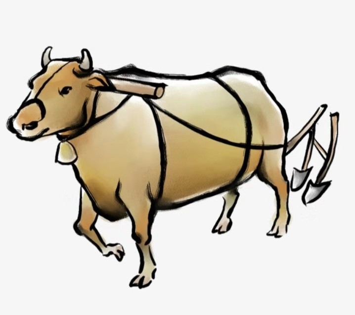 俗话说:"小雪雨淋淋,黄牛跑不停"是啥意思?