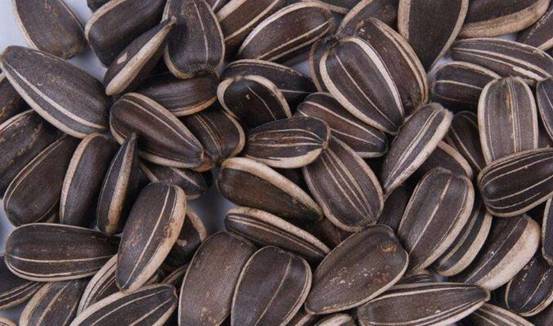 福建出土1500万年前的枣,样子很怪异,有7只"眼睛"?