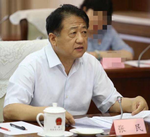 经查,张民严重丧失理想信念,完全背弃初心使命,搞两面派,做两面人,处