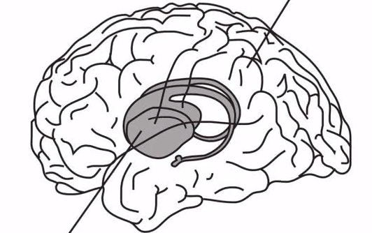 记忆力不好怎么补怎么样增强记忆力遇到问题别慌张