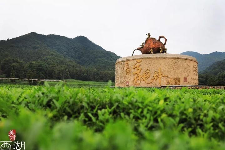 上城埭村东山弄社区学军小学获国家级荣誉