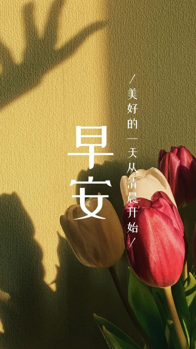 早安晚安语录精选励志图片句子朋友圈素材