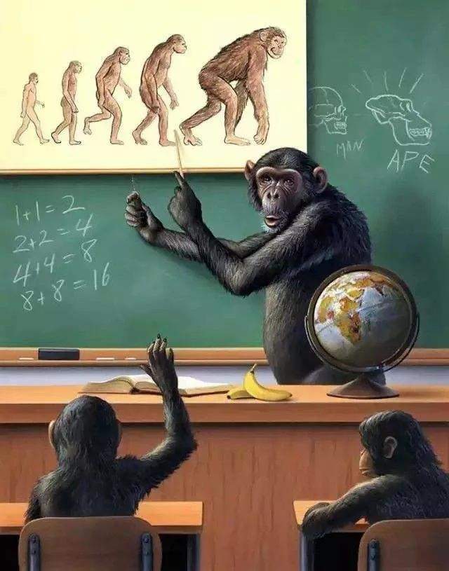 人类真是由类人猿进化来的吗 为什么地球上其它猿猴没有进化 腾讯新闻