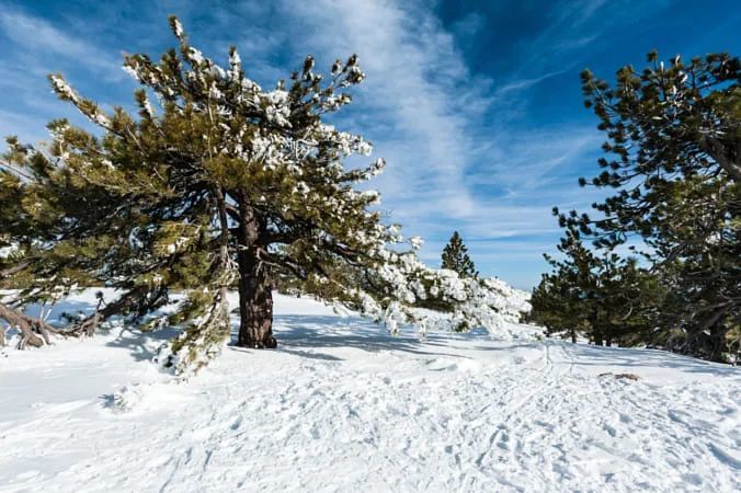 下雪了的唯美心情說說關於雪景的說說句子大全