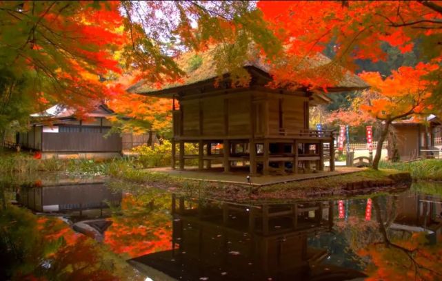 世界遗产 治愈景色 日本平泉中尊寺の红叶散策 关山 中尊寺 世界遗产 平泉 日本 岩手县