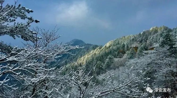 王阜乡胡家坪村,闻家板桥自然村瑶山乡天坪村恰因雪无色才有冬临人间