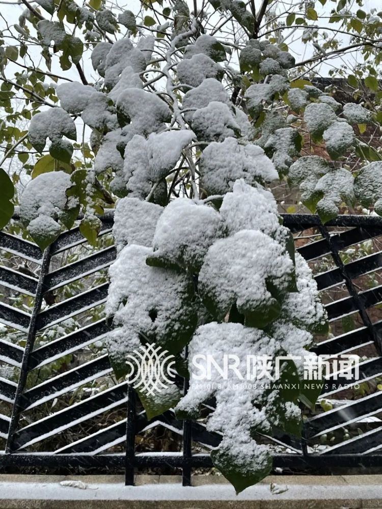 全省阴天转多云,延安南部部分地方及关中,陕南的大部有雨夹雪或小雪