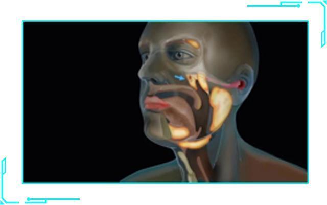 重磅 科学家意外发现人体新器官 能治疗癌症 腾讯网