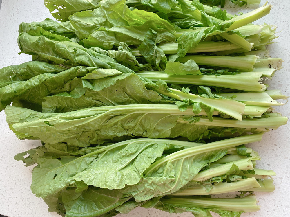 1,从菜地里摘回来的三月青或者是其它自己喜欢的蔬菜,摘三月青并不是