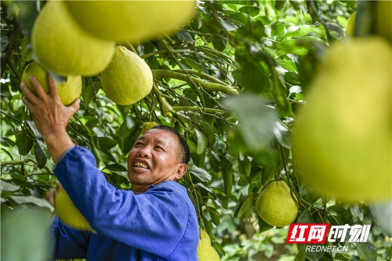 道县蒋奕简历图片