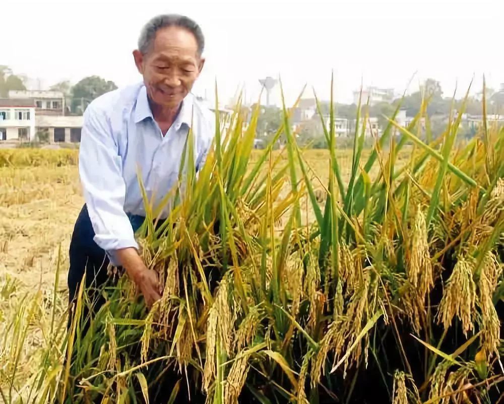 同样是人口大国 为何中国满世界买粮 印度却成粮食出口大国 腾讯新闻