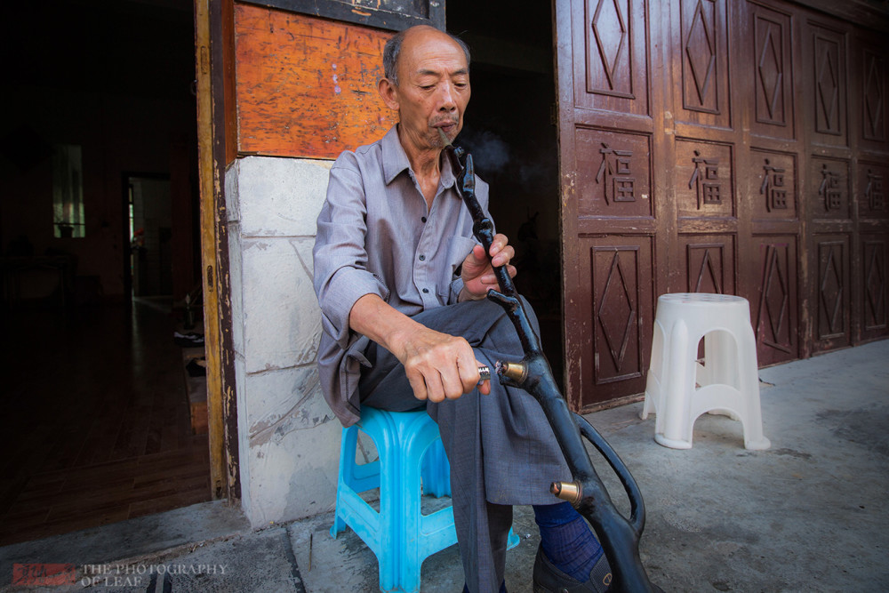 贵州一种竹子竹根硬造型美当地人拿它做烟杆最高卖几十万一根