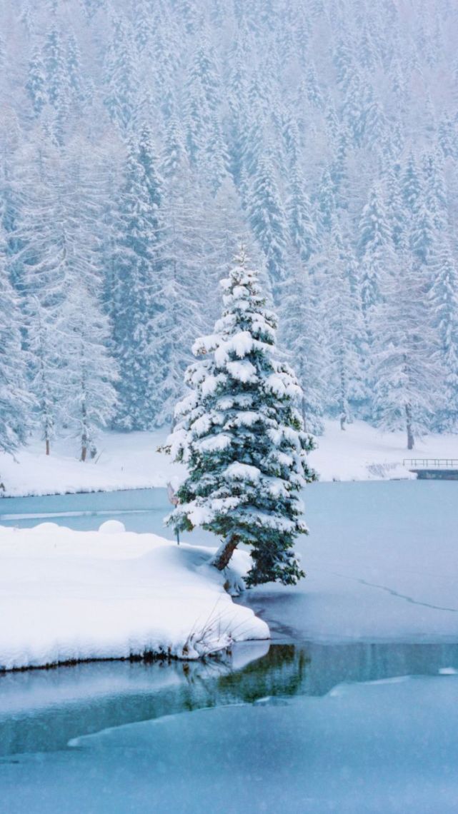 下雪天可以发布的浪漫文案