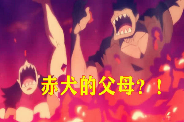 赤犬的 童年经历 曝光 得知他父母的遭遇后 漫迷 错怪你了 腾讯新闻