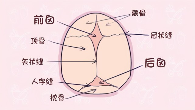 5分钟学11个"新生儿秘密",有些担心不必要,新手爸妈提前了解