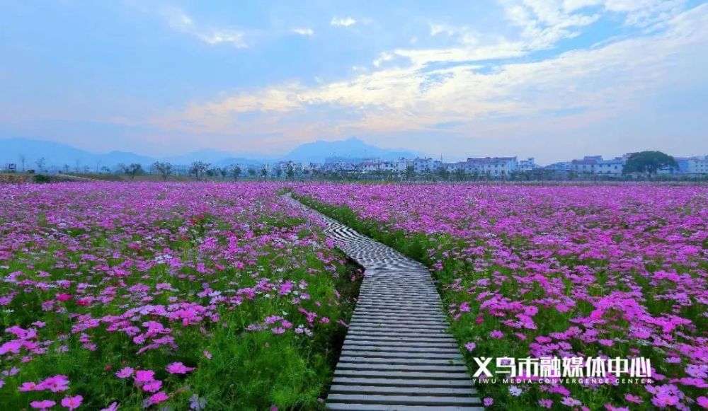 馬畈 鍾村