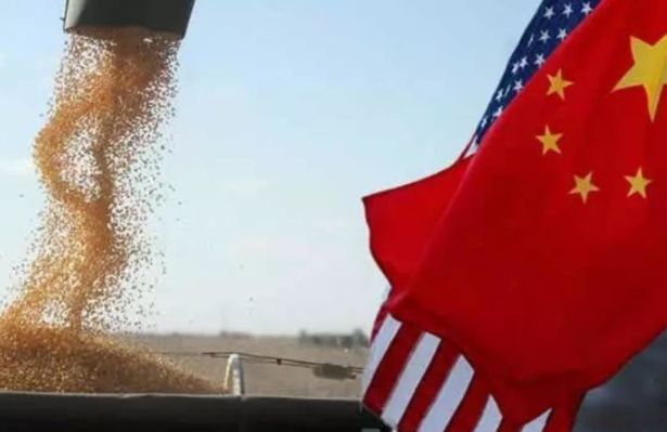 据了解,作为全球大米消费的最大国,中国的粮食市场一直以来都是全球