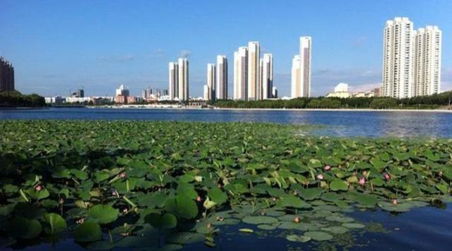 黑龙江城市gdp_省会经济实力大比拼:11城GDP超万亿,广州继续遥居榜首