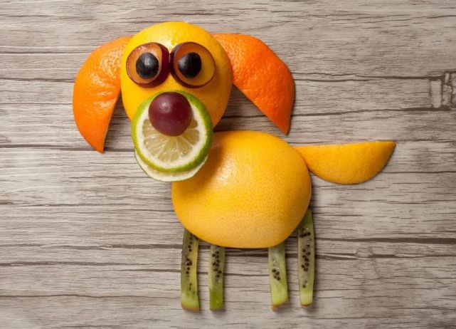 创意少儿美术课程分享《水果动物》