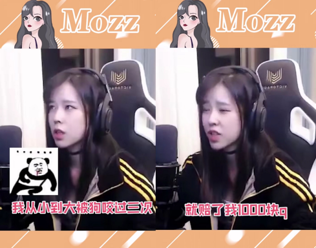 沫子自曝被狗咬过三次,并且开心到飞起,看到原因这也太真实了