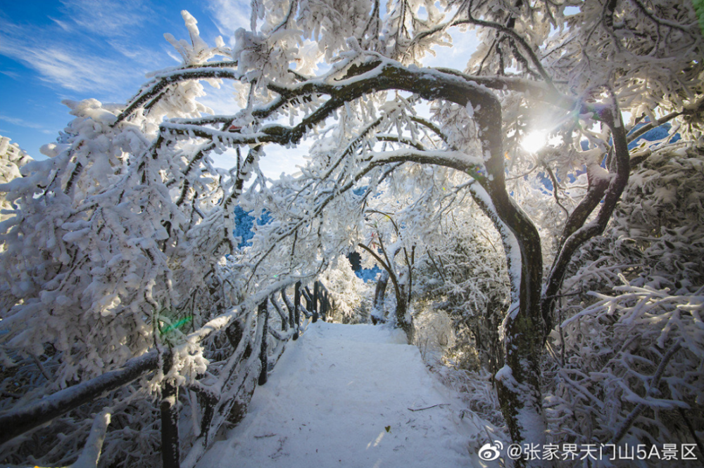 雪景來來來想想是不是很激動看到美景12月25日凌晨開始張家界天門山飄