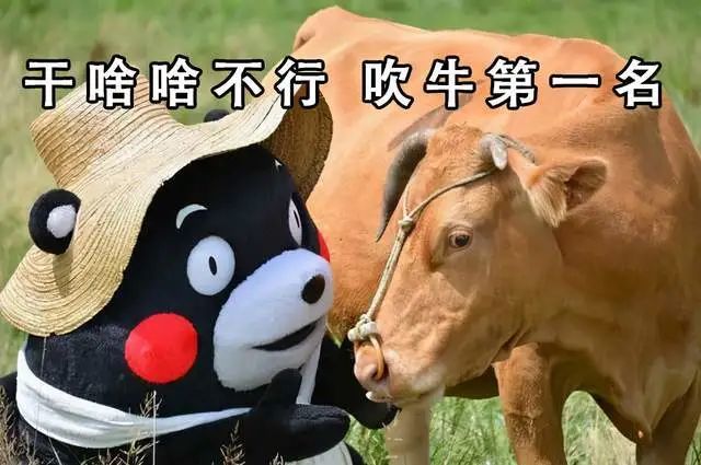 干啥啥不行,吹牛第一名.干啥啥不行,睡觉第一名.