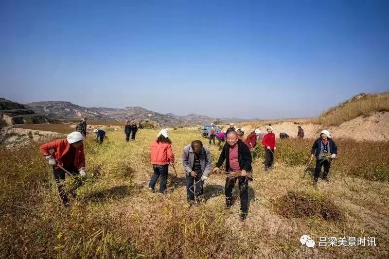 山西省孝义市下堡镇上坞头村党建引领共奔小康