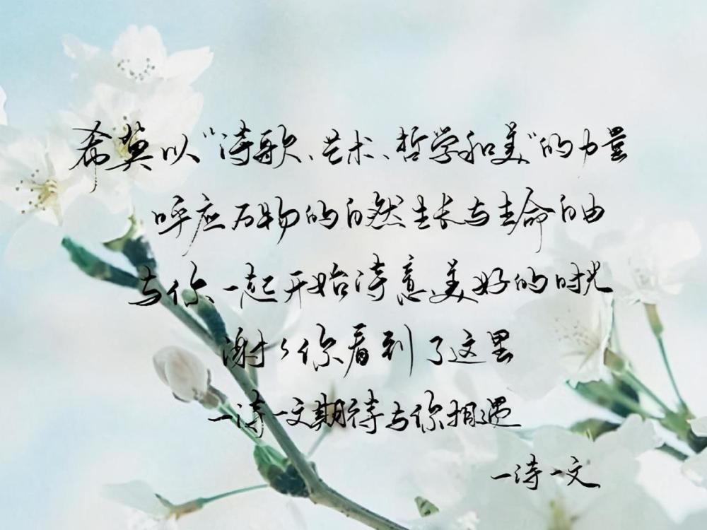 月亮照回湖心野鹤奔向闲云我奔向你