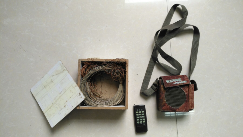 四川|男子喜欢野生鸟类竟非法诱捕鸟儿?不需要这样的喜爱!