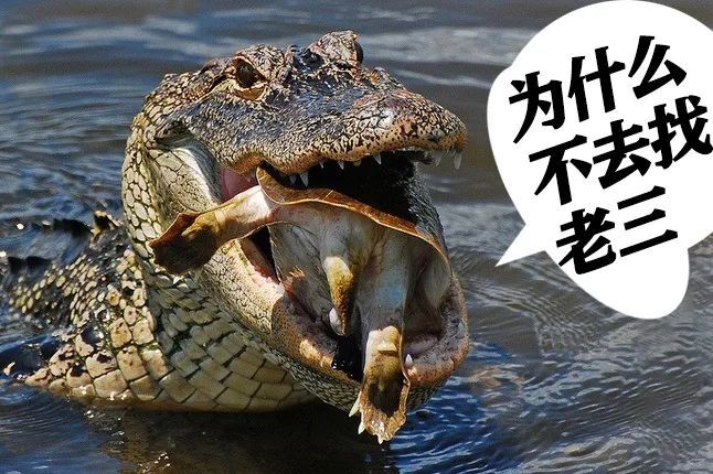 海蛇哪颗牙咬人最疼_腾讯新闻