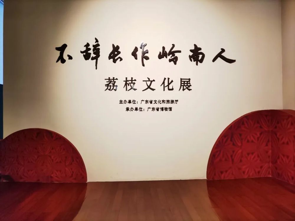 阔别回归 不辞长作岭南人 荔枝文化展 腾讯新闻