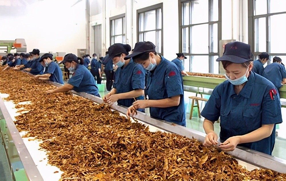 烟草公司的待遇有多好内部员工透露一点超出你的想象