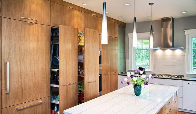 抽拉式食品储藏室设计,利用或垂直空间,不浪费可用的面积.