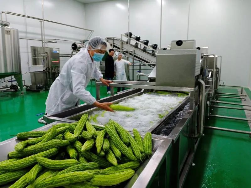 炉村老鹰山建起占地80亩,屋上光伏发电,屋内是精深加工农副产品的厂房