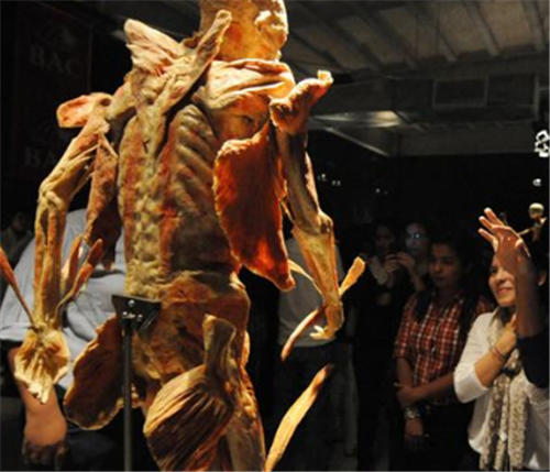 在殖民时期,楚格尼尼的童年并不好过,殖民抗争时,她的未婚夫遭到杀害