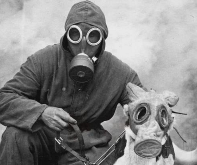 战场德国的威廉二世让弗里茨·哈伯担任化学兵工厂厂长,专门生产毒气