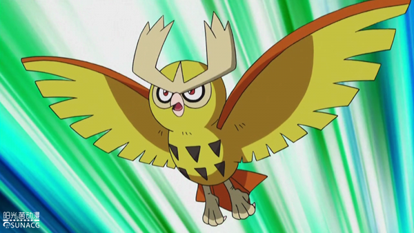 盘点精灵宝可梦中小智收服的那些工具鸟