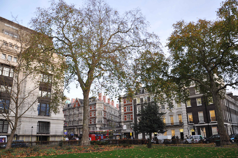 英国大学研究生排名_最贵英国大学TOP17,多数在伦敦和英格兰东南部