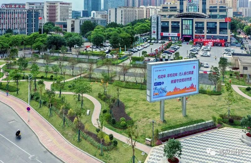 细数闽侯甘蔗的三时三变