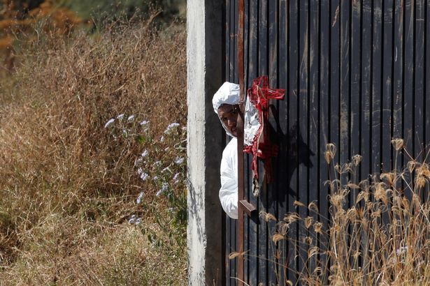墨西哥黑帮秘密坟墓中,发现100多具尸体,大多数都被肢解过