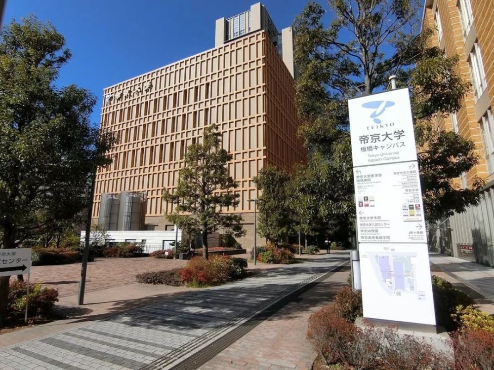 日本大学名媛圈拼一拼谁最有实力